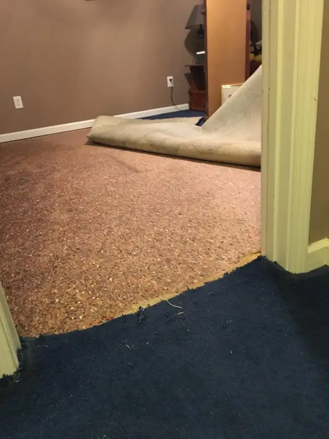 Carpet pad removal revealing water damage during Drying & Dehumidification in New Rochelle