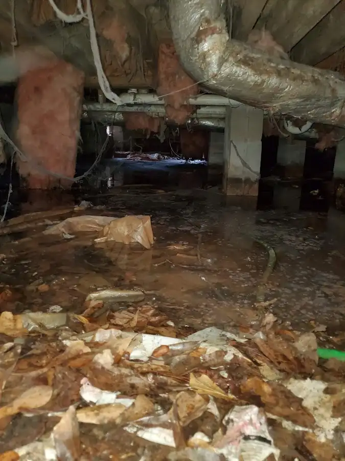Crawl space flood assessment for Commercial Water Damage Restoration in New Rochelle
