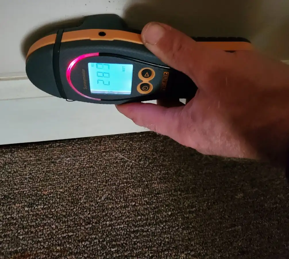 Moisture detection at baseboard during Burst Pipe Cleanup in New Rochelle